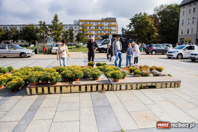 Zdjęcie w galerii na portalu naszraciborz.pl: Zbiórka elektrośmieci w Raciborzu wiadomości z regionu