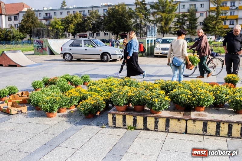 Zdjęcie w galerii na portalu naszraciborz.pl: Zbiórka elektrośmieci w Raciborzu wiadomości z regionu
