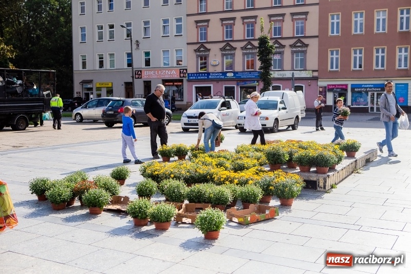 Zdjęcie w galerii na portalu naszraciborz.pl: Zbiórka elektrośmieci w Raciborzu wiadomości z regionu