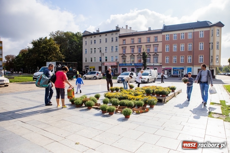 Zdjęcie w galerii na portalu naszraciborz.pl: Zbiórka elektrośmieci w Raciborzu wiadomości z regionu