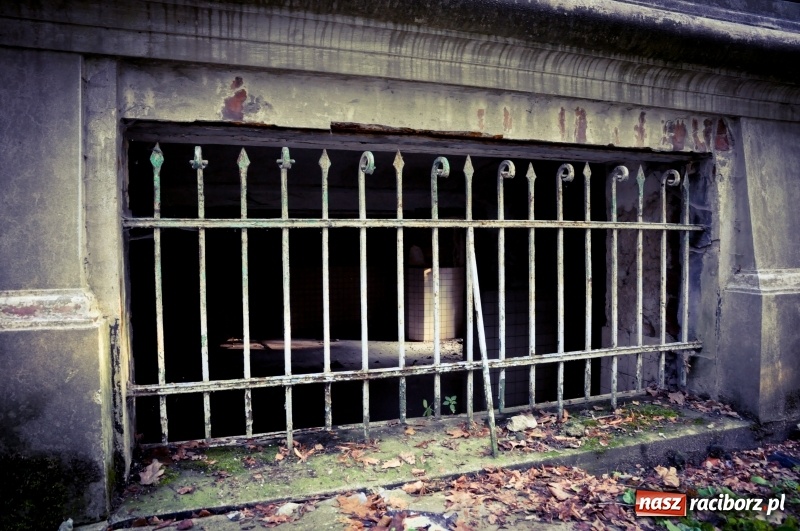 Zdjęcie w galerii na portalu naszraciborz.pl: Pałac w Rzuchowie wstaje z ruin. Tak dziś wyglądają jego wnętrza  wiadomości z regionu