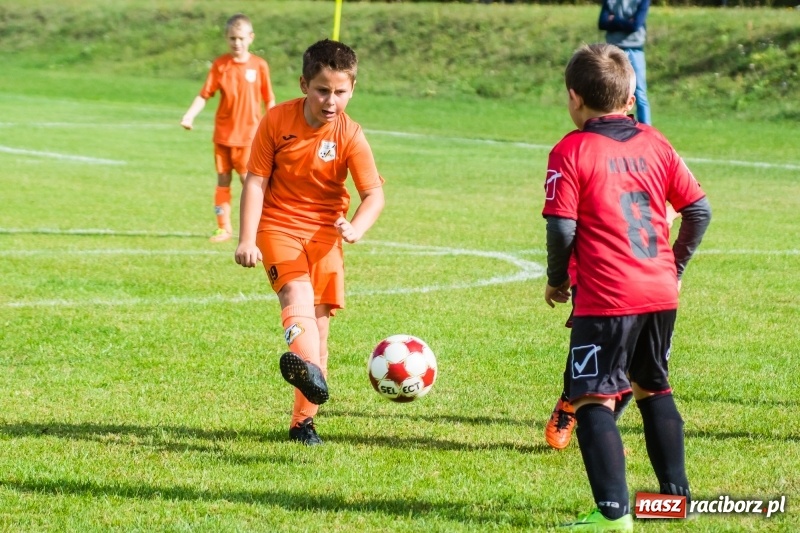 Zdjęcie w galerii na portalu naszraciborz.pl: Orliki młodsze: Mendel goli w starciu Rafako z AP United Rydułtowy wiadomości z regionu