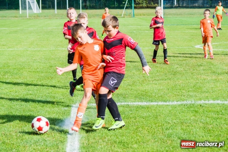 Zdjęcie w galerii na portalu naszraciborz.pl: Orliki młodsze: Mendel goli w starciu Rafako z AP United Rydułtowy wiadomości z regionu
