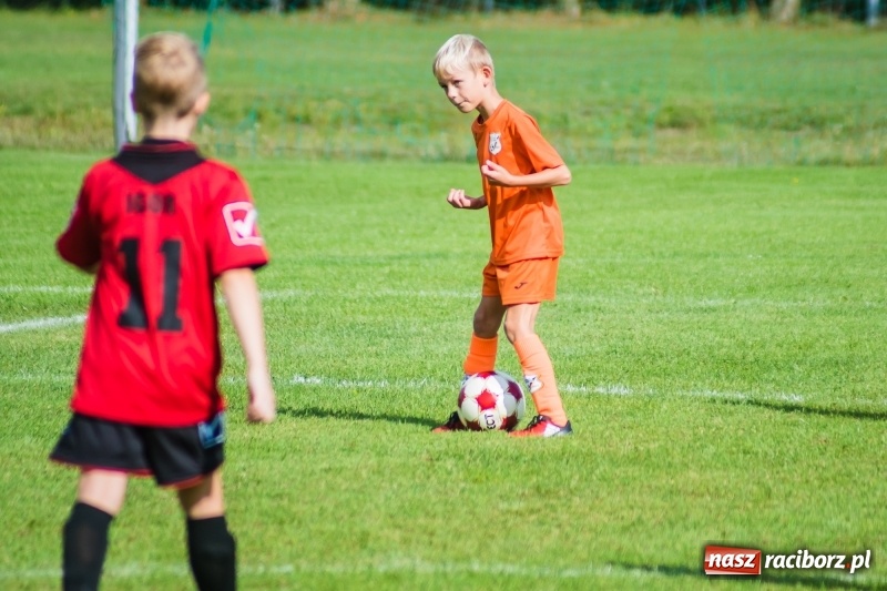 Zdjęcie w galerii na portalu naszraciborz.pl: Orliki młodsze: Mendel goli w starciu Rafako z AP United Rydułtowy wiadomości z regionu