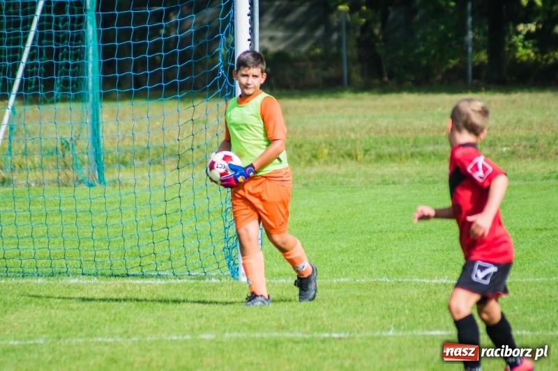 Zdjęcie w galerii na portalu naszraciborz.pl: Orliki młodsze: Mendel goli w starciu Rafako z AP United Rydułtowy wiadomości z regionu