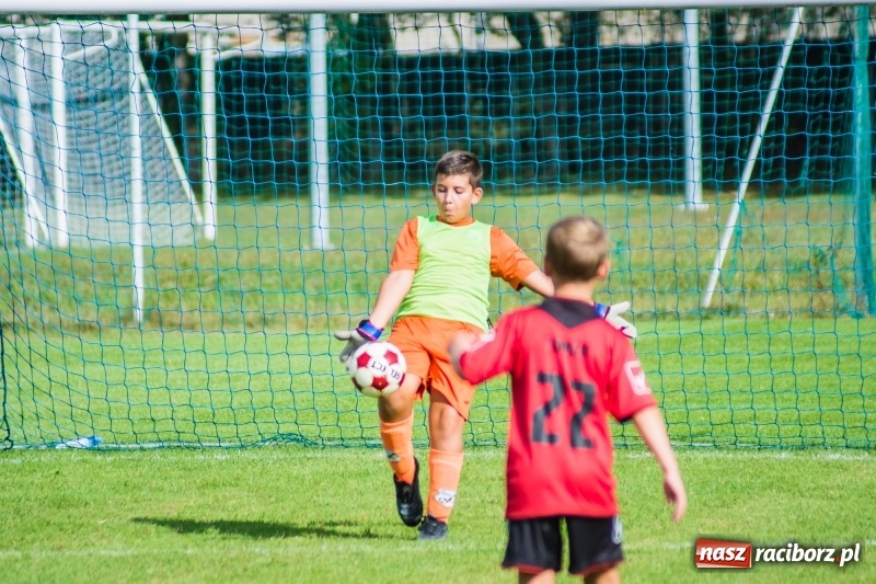 Zdjęcie w galerii na portalu naszraciborz.pl: Orliki młodsze: Mendel goli w starciu Rafako z AP United Rydułtowy wiadomości z regionu
