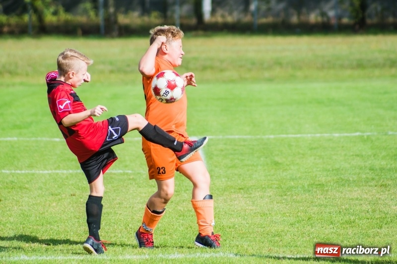 Zdjęcie w galerii na portalu naszraciborz.pl: Orliki młodsze: Mendel goli w starciu Rafako z AP United Rydułtowy wiadomości z regionu