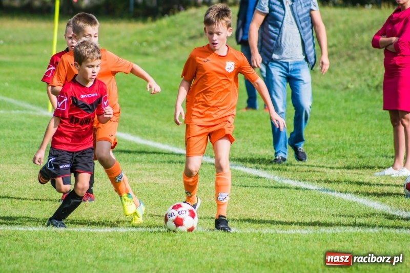 Zdjęcie w galerii na portalu naszraciborz.pl: Orliki młodsze: Mendel goli w starciu Rafako z AP United Rydułtowy wiadomości z regionu