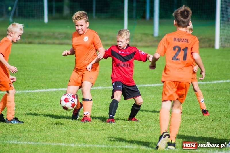 Zdjęcie w galerii na portalu naszraciborz.pl: Orliki młodsze: Mendel goli w starciu Rafako z AP United Rydułtowy wiadomości z regionu