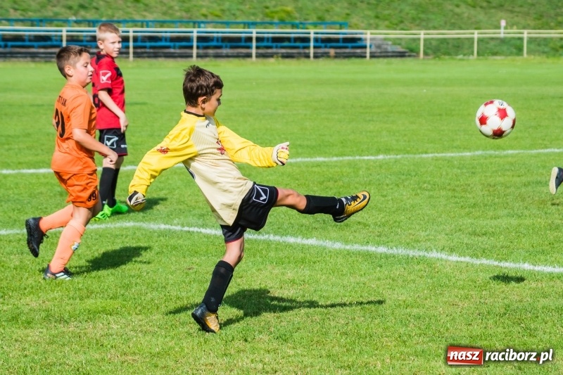 Zdjęcie w galerii na portalu naszraciborz.pl: Orliki młodsze: Mendel goli w starciu Rafako z AP United Rydułtowy wiadomości z regionu