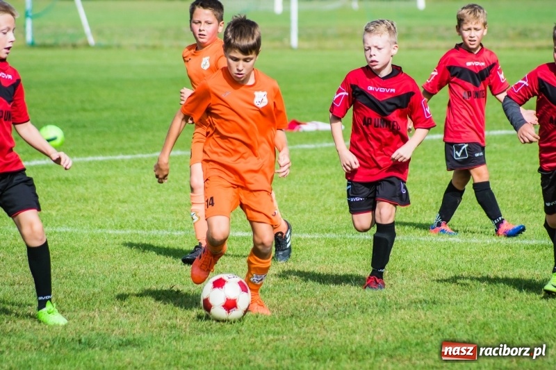 Zdjęcie w galerii na portalu naszraciborz.pl: Orliki młodsze: Mendel goli w starciu Rafako z AP United Rydułtowy wiadomości z regionu