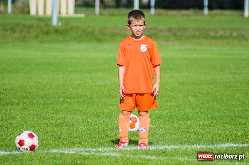 Zdjęcie w galerii na portalu naszraciborz.pl: Orliki młodsze: Mendel goli w starciu Rafako z AP United Rydułtowy wiadomości z regionu