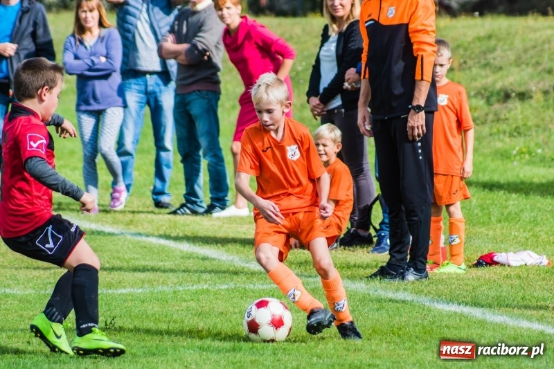 Zdjęcie w galerii na portalu naszraciborz.pl: Orliki młodsze: Mendel goli w starciu Rafako z AP United Rydułtowy wiadomości z regionu