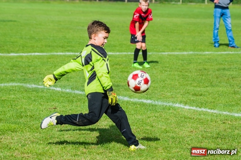 Zdjęcie w galerii na portalu naszraciborz.pl: Orliki młodsze: Mendel goli w starciu Rafako z AP United Rydułtowy wiadomości z regionu