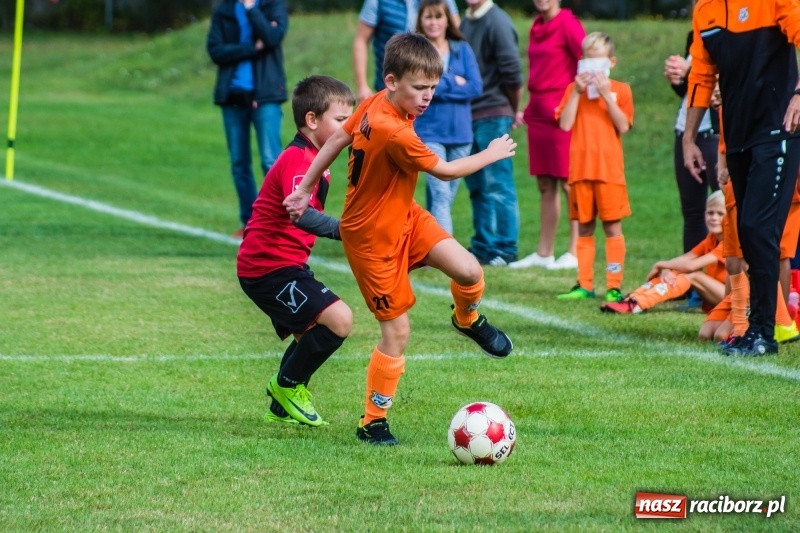 Zdjęcie w galerii na portalu naszraciborz.pl: Orliki młodsze: Mendel goli w starciu Rafako z AP United Rydułtowy wiadomości z regionu