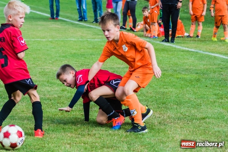 Zdjęcie w galerii na portalu naszraciborz.pl: Orliki młodsze: Mendel goli w starciu Rafako z AP United Rydułtowy wiadomości z regionu