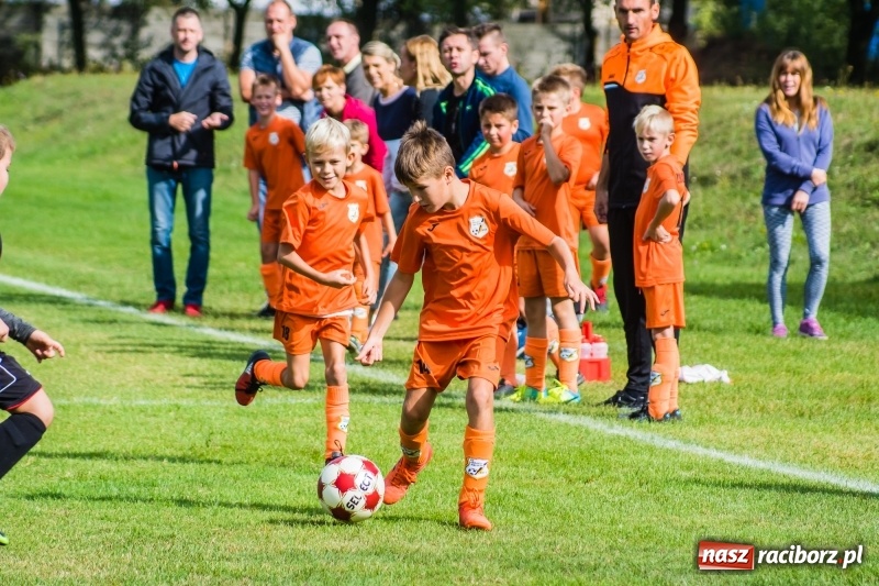 Zdjęcie w galerii na portalu naszraciborz.pl: Orliki młodsze: Mendel goli w starciu Rafako z AP United Rydułtowy wiadomości z regionu