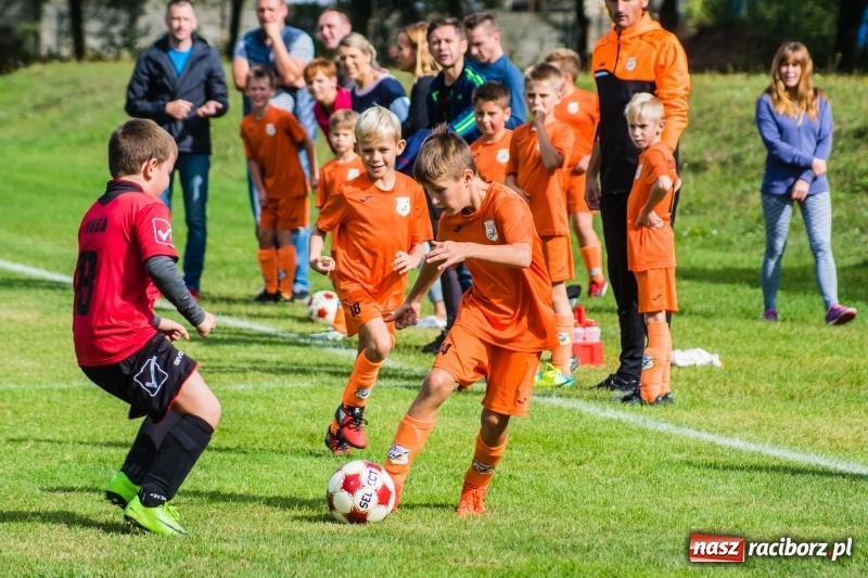 Zdjęcie w galerii na portalu naszraciborz.pl: Orliki młodsze: Mendel goli w starciu Rafako z AP United Rydułtowy wiadomości z regionu