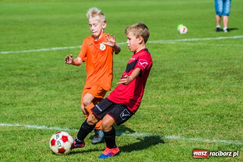 Zdjęcie w galerii na portalu naszraciborz.pl: Orliki młodsze: Mendel goli w starciu Rafako z AP United Rydułtowy wiadomości z regionu