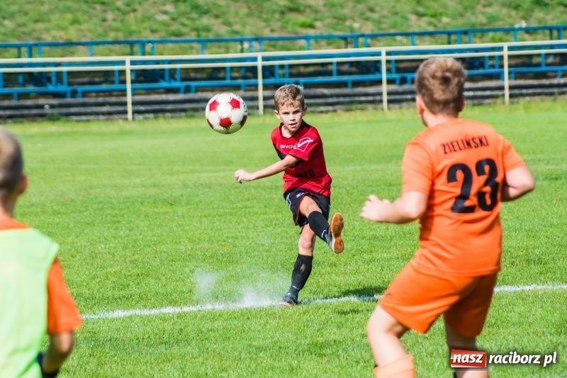 Zdjęcie w galerii na portalu naszraciborz.pl: Orliki młodsze: Mendel goli w starciu Rafako z AP United Rydułtowy wiadomości z regionu