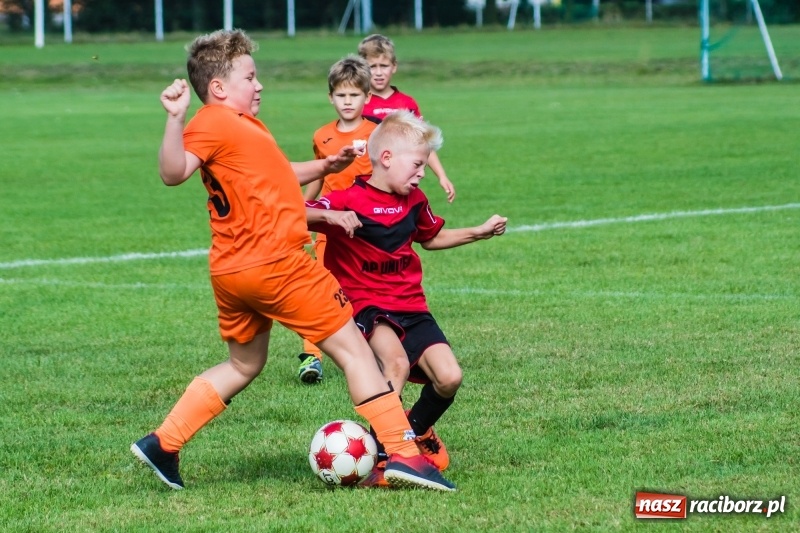 Zdjęcie w galerii na portalu naszraciborz.pl: Orliki młodsze: Mendel goli w starciu Rafako z AP United Rydułtowy wiadomości z regionu