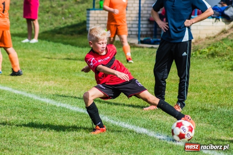 Zdjęcie w galerii na portalu naszraciborz.pl: Orliki młodsze: Mendel goli w starciu Rafako z AP United Rydułtowy wiadomości z regionu
