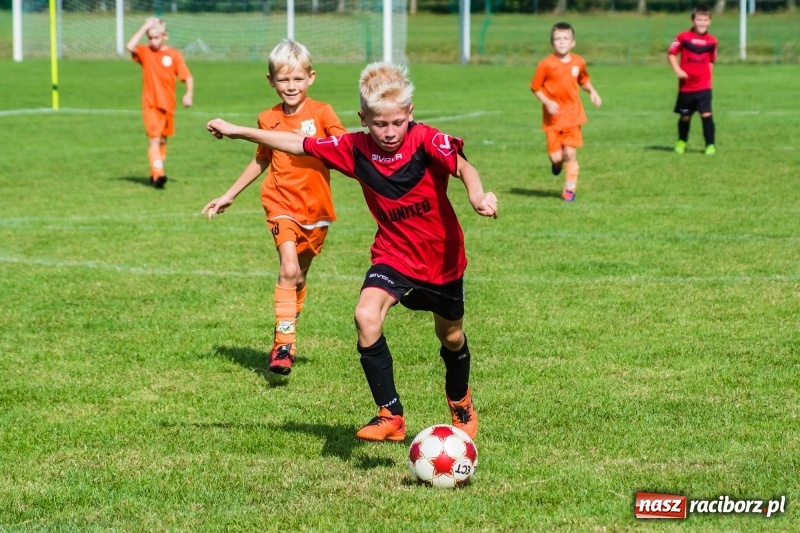 Zdjęcie w galerii na portalu naszraciborz.pl: Orliki młodsze: Mendel goli w starciu Rafako z AP United Rydułtowy wiadomości z regionu