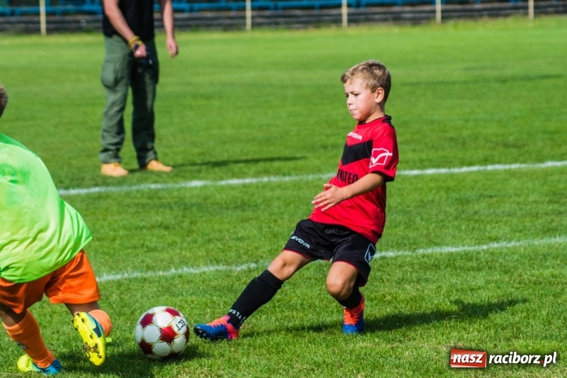 Zdjęcie w galerii na portalu naszraciborz.pl: Orliki młodsze: Mendel goli w starciu Rafako z AP United Rydułtowy wiadomości z regionu