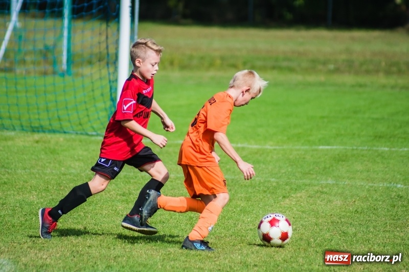 Zdjęcie w galerii na portalu naszraciborz.pl: Orliki młodsze: Mendel goli w starciu Rafako z AP United Rydułtowy wiadomości z regionu