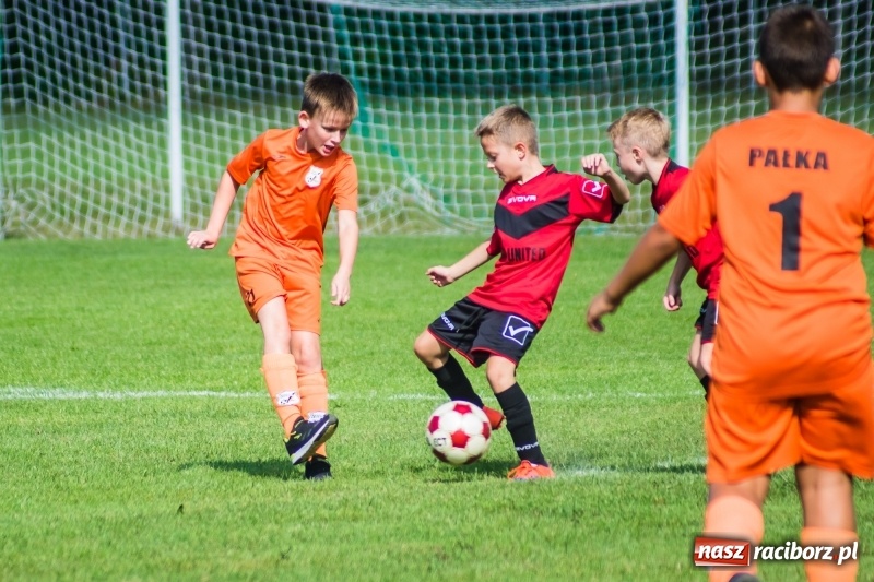 Zdjęcie w galerii na portalu naszraciborz.pl: Orliki młodsze: Mendel goli w starciu Rafako z AP United Rydułtowy wiadomości z regionu