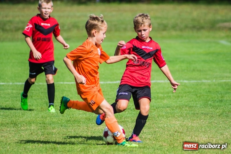 Zdjęcie w galerii na portalu naszraciborz.pl: Orliki młodsze: Mendel goli w starciu Rafako z AP United Rydułtowy wiadomości z regionu