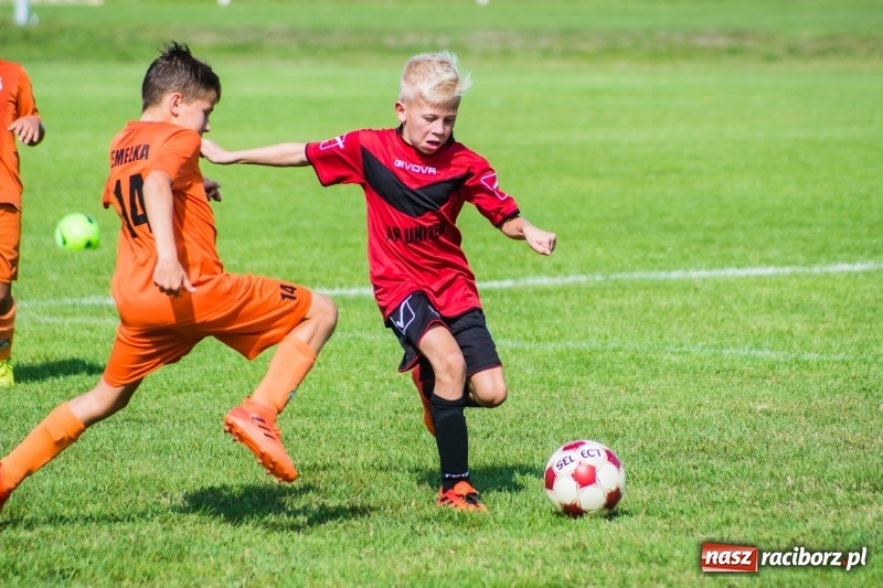 Zdjęcie w galerii na portalu naszraciborz.pl: Orliki młodsze: Mendel goli w starciu Rafako z AP United Rydułtowy wiadomości z regionu