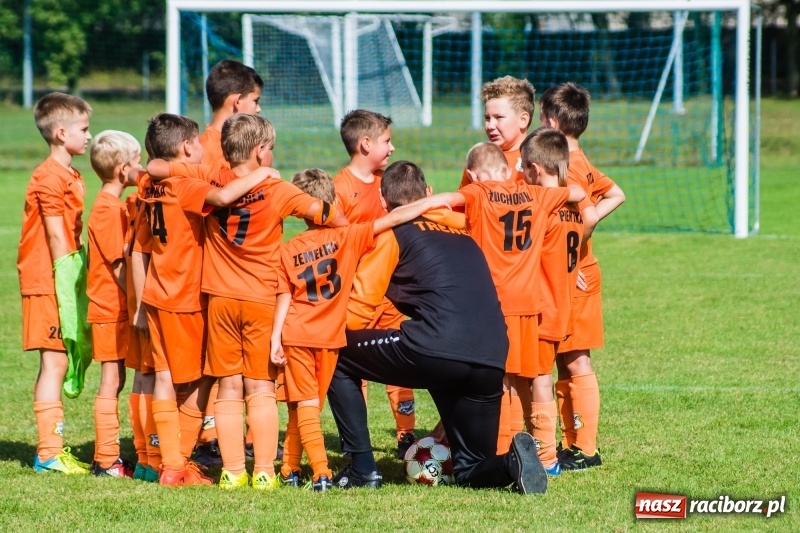 Zdjęcie w galerii na portalu naszraciborz.pl: Orliki młodsze: Mendel goli w starciu Rafako z AP United Rydułtowy wiadomości z regionu