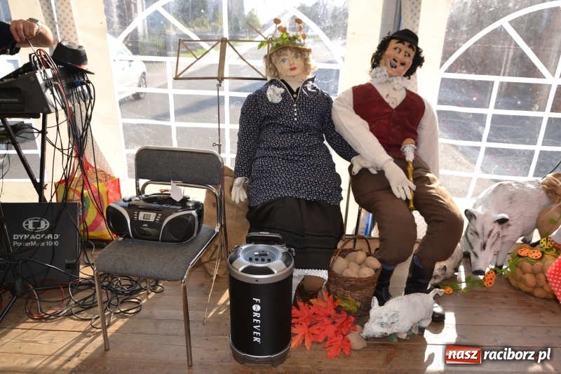 Zdjęcie w galerii na portalu naszraciborz.pl: Rokendrolowy Kartoffelfest w Bolesławiu  wiadomości z regionu