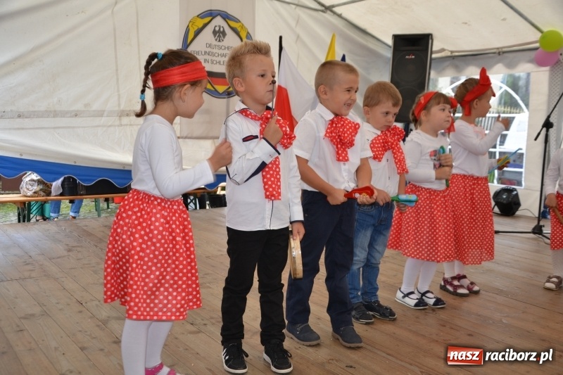 Zdjęcie w galerii na portalu naszraciborz.pl: Rokendrolowy Kartoffelfest w Bolesławiu  wiadomości z regionu