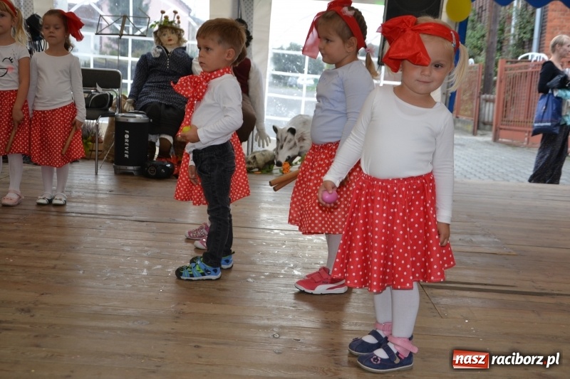 Zdjęcie w galerii na portalu naszraciborz.pl: Rokendrolowy Kartoffelfest w Bolesławiu  wiadomości z regionu