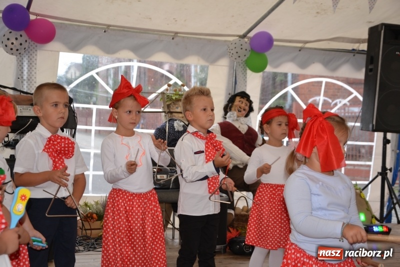 Zdjęcie w galerii na portalu naszraciborz.pl: Rokendrolowy Kartoffelfest w Bolesławiu  wiadomości z regionu