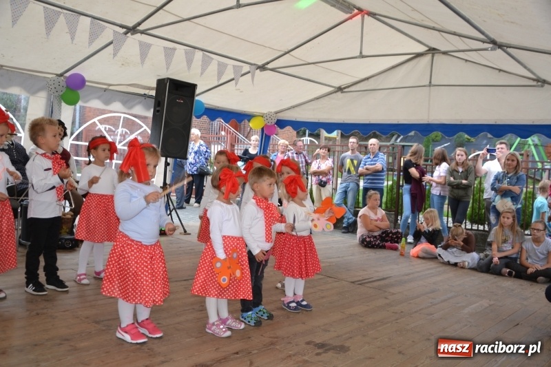 Zdjęcie w galerii na portalu naszraciborz.pl: Rokendrolowy Kartoffelfest w Bolesławiu  wiadomości z regionu