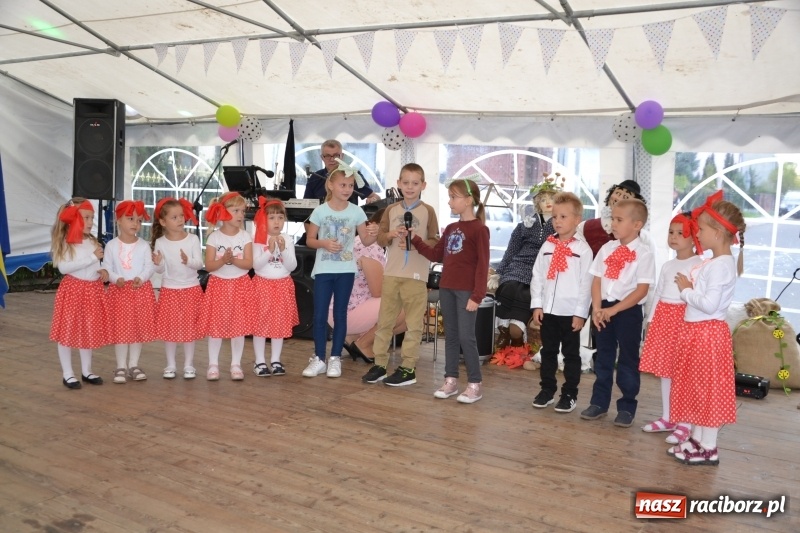 Zdjęcie w galerii na portalu naszraciborz.pl: Rokendrolowy Kartoffelfest w Bolesławiu  wiadomości z regionu