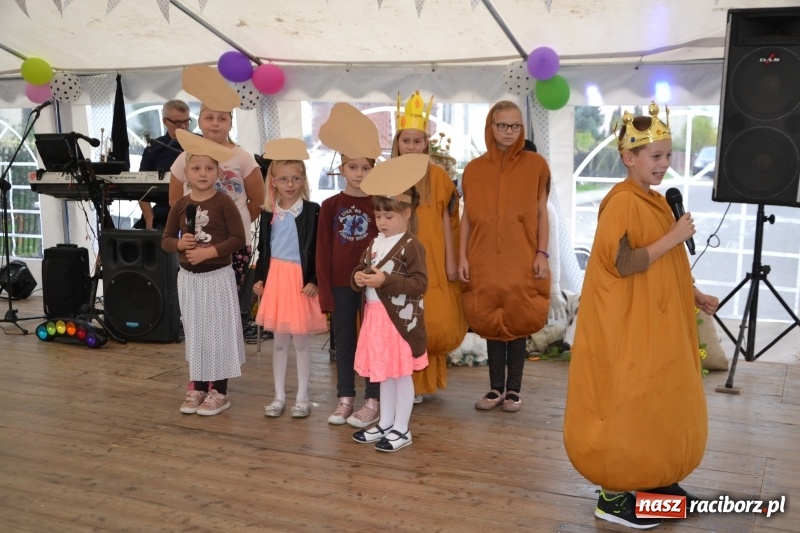 Zdjęcie w galerii na portalu naszraciborz.pl: Rokendrolowy Kartoffelfest w Bolesławiu  wiadomości z regionu