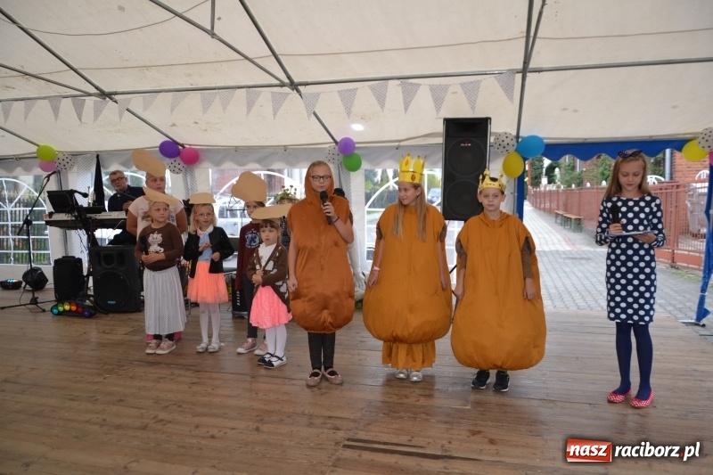 Zdjęcie w galerii na portalu naszraciborz.pl: Rokendrolowy Kartoffelfest w Bolesławiu  wiadomości z regionu