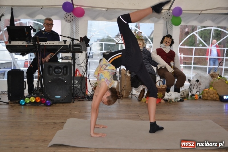 Zdjęcie w galerii na portalu naszraciborz.pl: Rokendrolowy Kartoffelfest w Bolesławiu  wiadomości z regionu