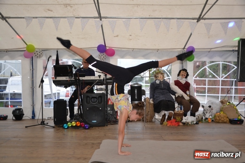 Zdjęcie w galerii na portalu naszraciborz.pl: Rokendrolowy Kartoffelfest w Bolesławiu  wiadomości z regionu