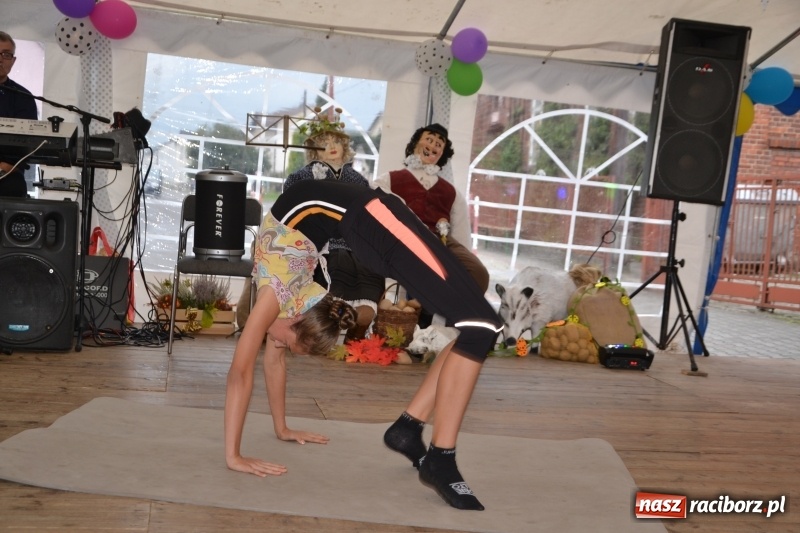 Zdjęcie w galerii na portalu naszraciborz.pl: Rokendrolowy Kartoffelfest w Bolesławiu  wiadomości z regionu