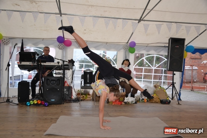 Zdjęcie w galerii na portalu naszraciborz.pl: Rokendrolowy Kartoffelfest w Bolesławiu  wiadomości z regionu