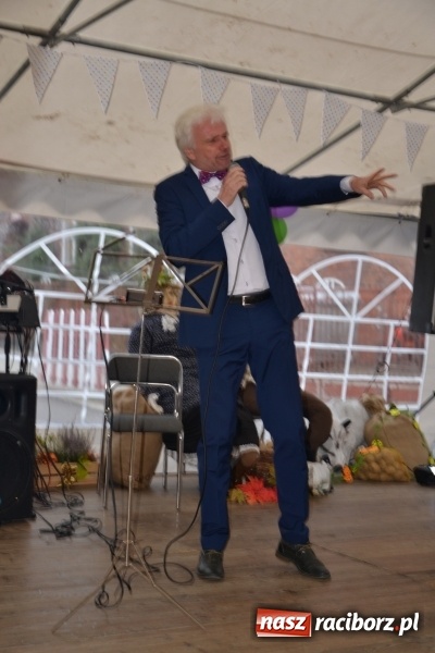 Zdjęcie w galerii na portalu naszraciborz.pl: Rokendrolowy Kartoffelfest w Bolesławiu  wiadomości z regionu