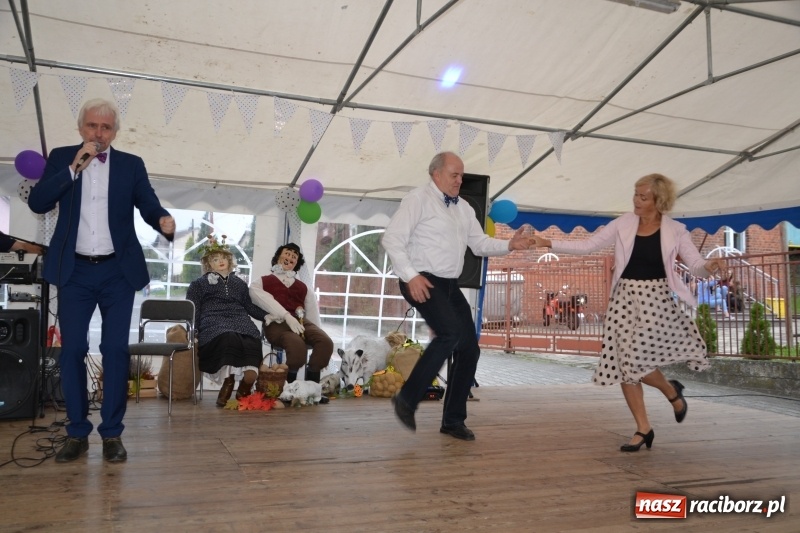 Zdjęcie w galerii na portalu naszraciborz.pl: Rokendrolowy Kartoffelfest w Bolesławiu  wiadomości z regionu