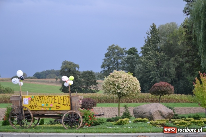 Zdjęcie w galerii na portalu naszraciborz.pl: Rokendrolowy Kartoffelfest w Bolesławiu  wiadomości z regionu