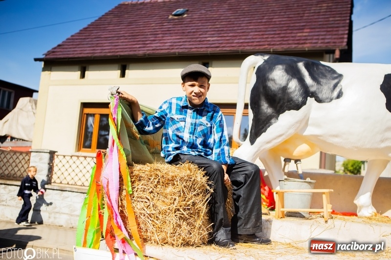 Zdjęcie w galerii na portalu naszraciborz.pl: Dożynki 2018. Dziś świętuje Racibórz. Barwny korowód od Sudoła do Studziennej WIDEO wiadomości z regionu