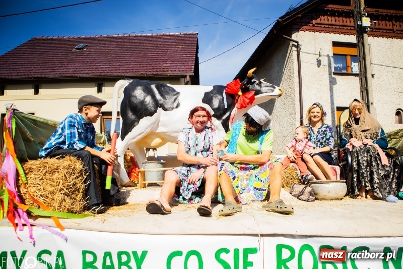 Zdjęcie w galerii na portalu naszraciborz.pl: Dożynki 2018. Dziś świętuje Racibórz. Barwny korowód od Sudoła do Studziennej WIDEO wiadomości z regionu